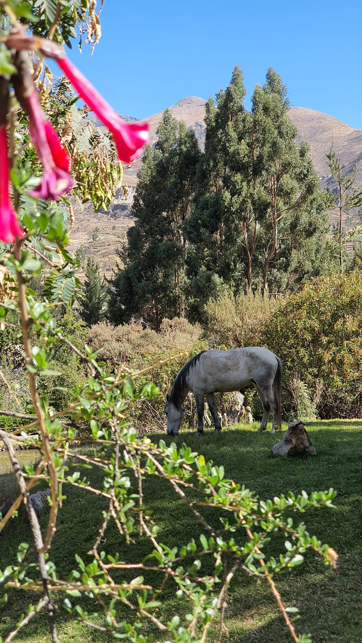 Colca Canyon, Peru