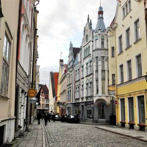 Улица Пикк — главная в старом городе
