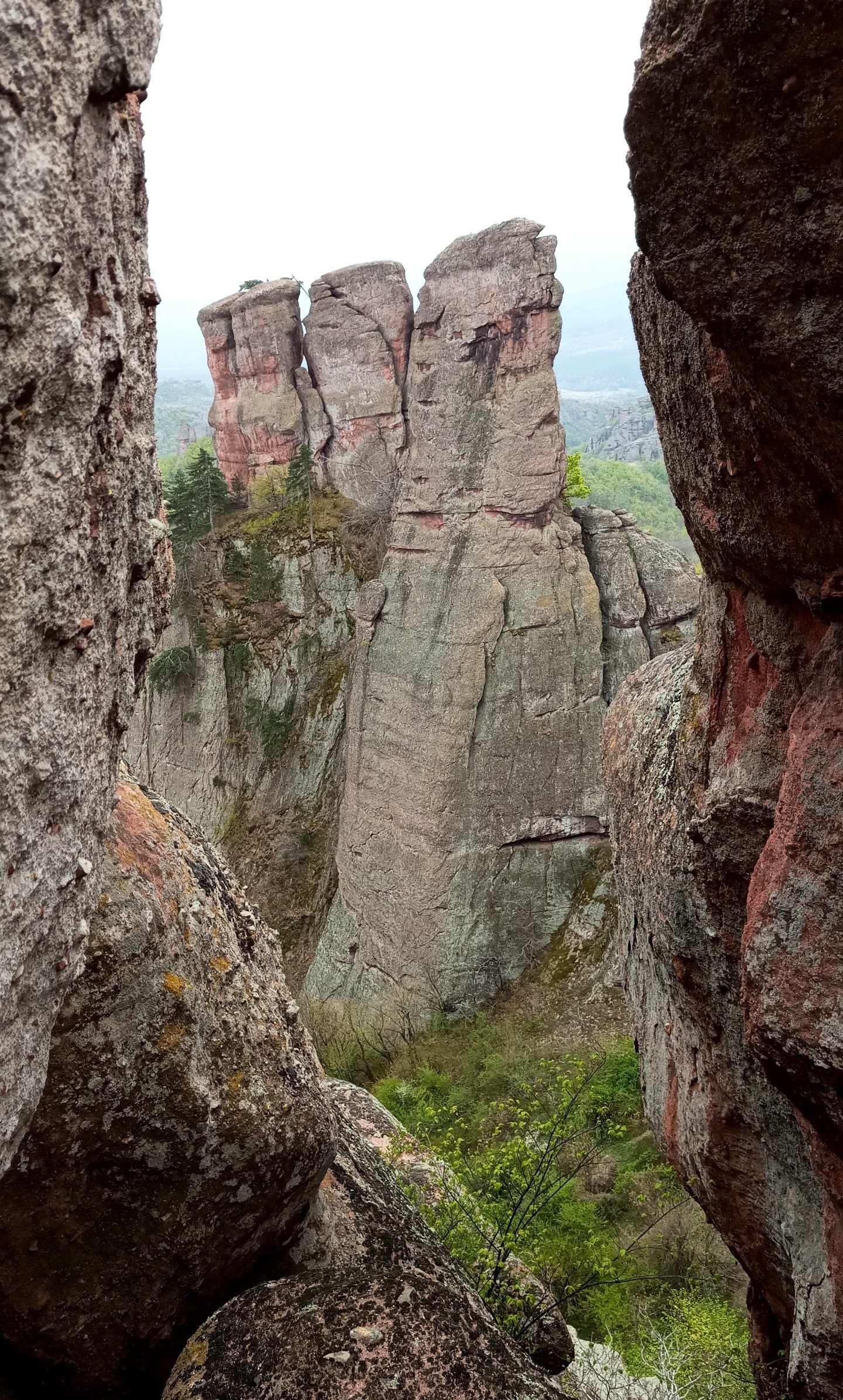 Болгария