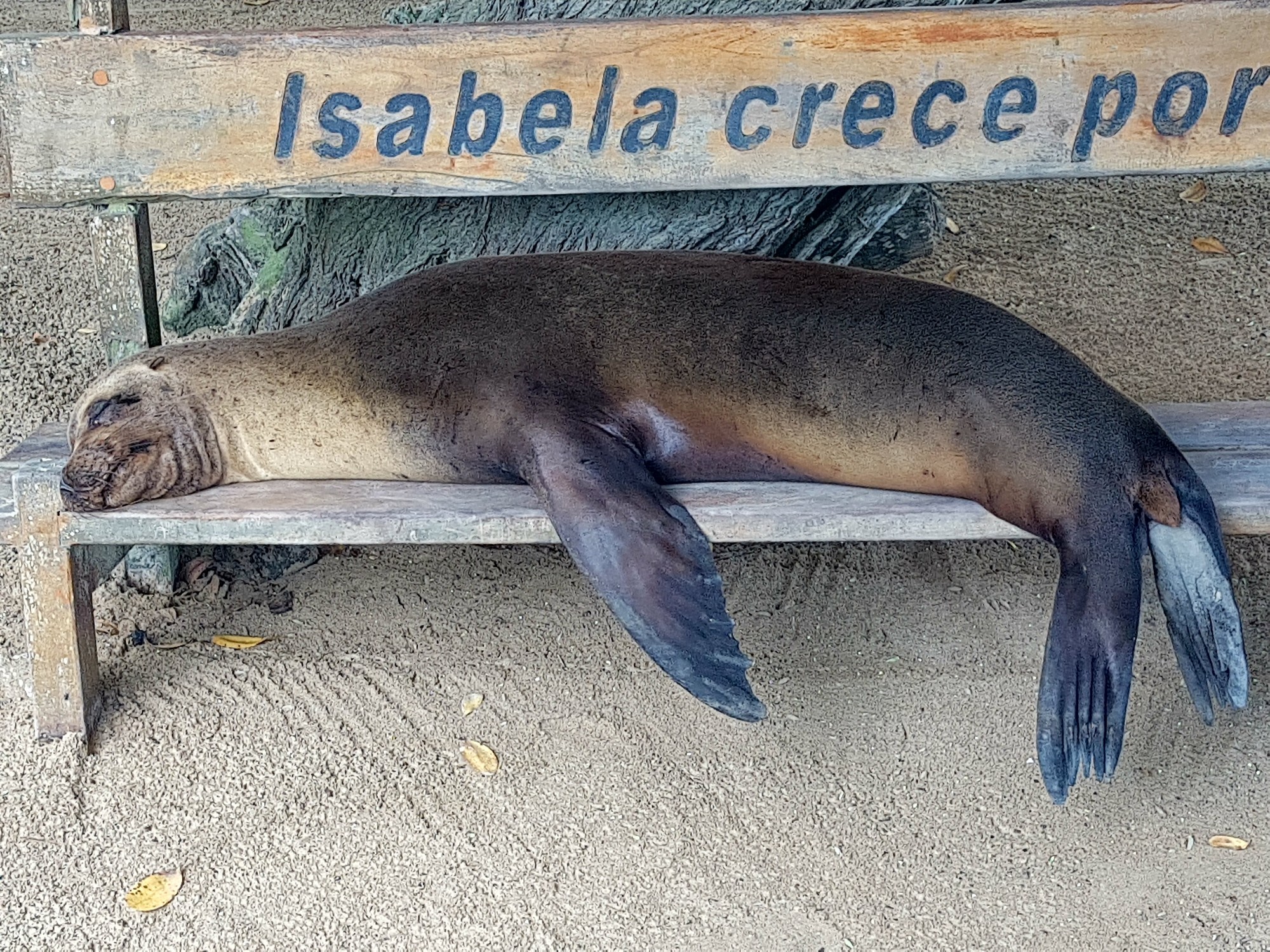 Ecuador