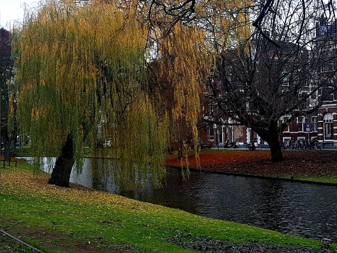 Rotterdam, Netherlands