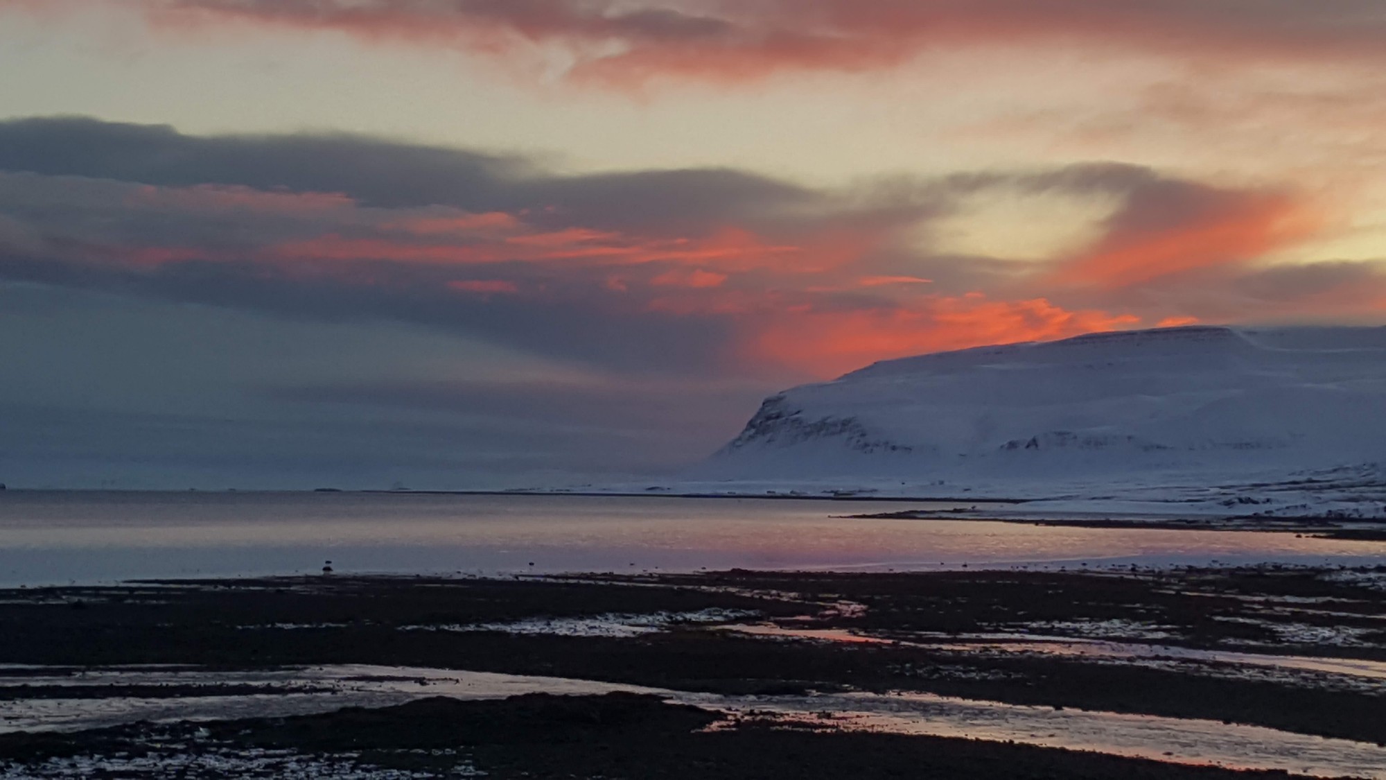 Патрехсфьордюр, Iceland