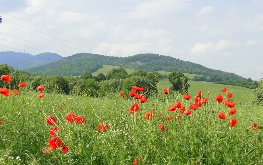 Slovakia