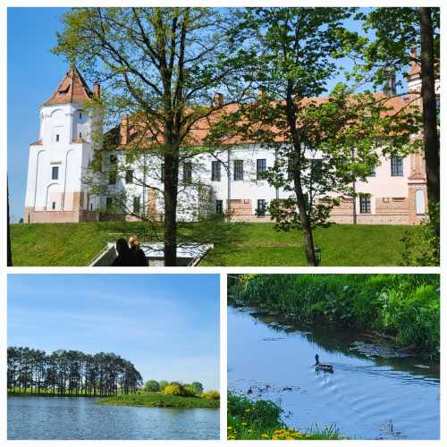 Несвиж, Беларусь