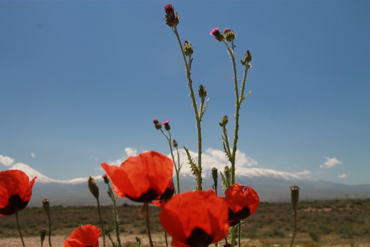 Armenia