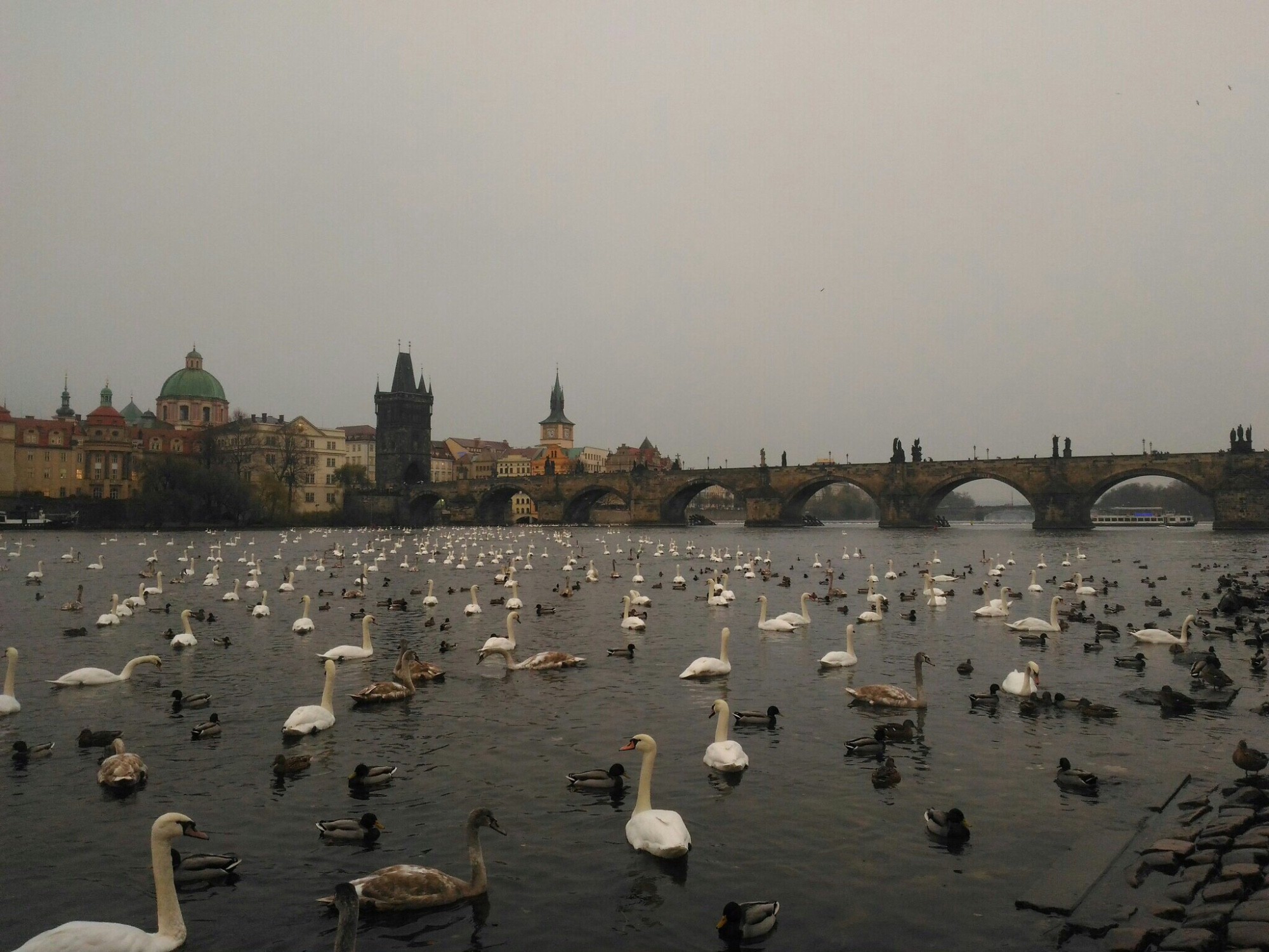 Czech Republic