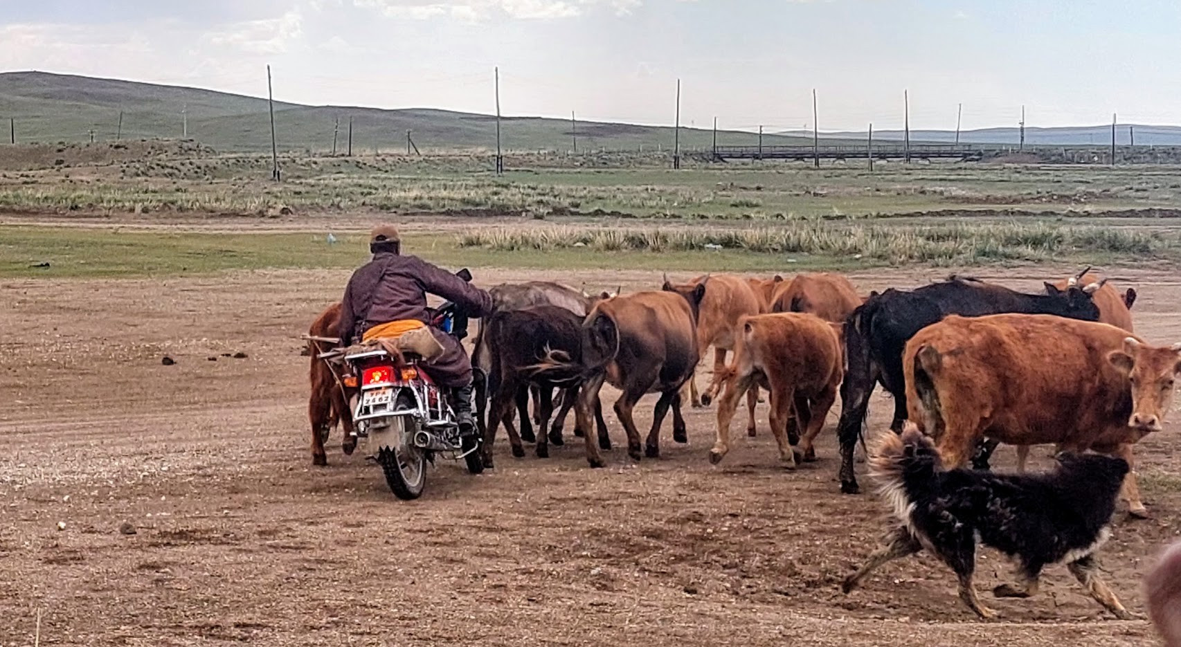 Mongolia