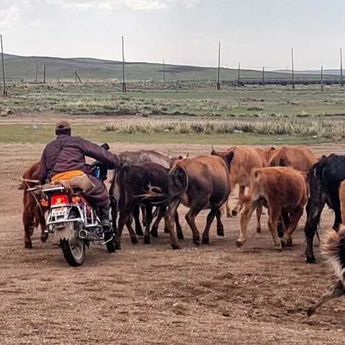 Mongolia