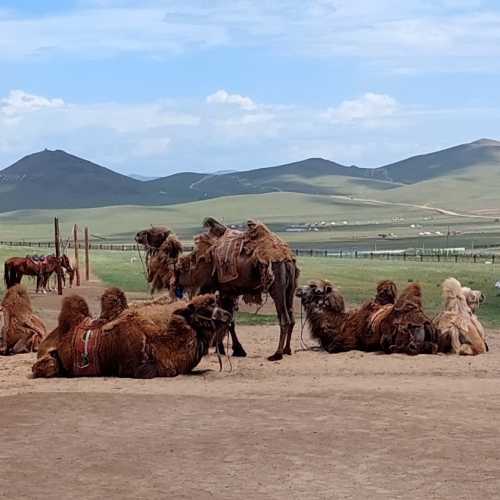 Mongolia