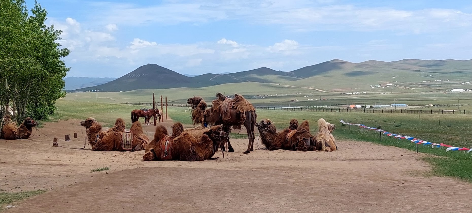 Mongolia