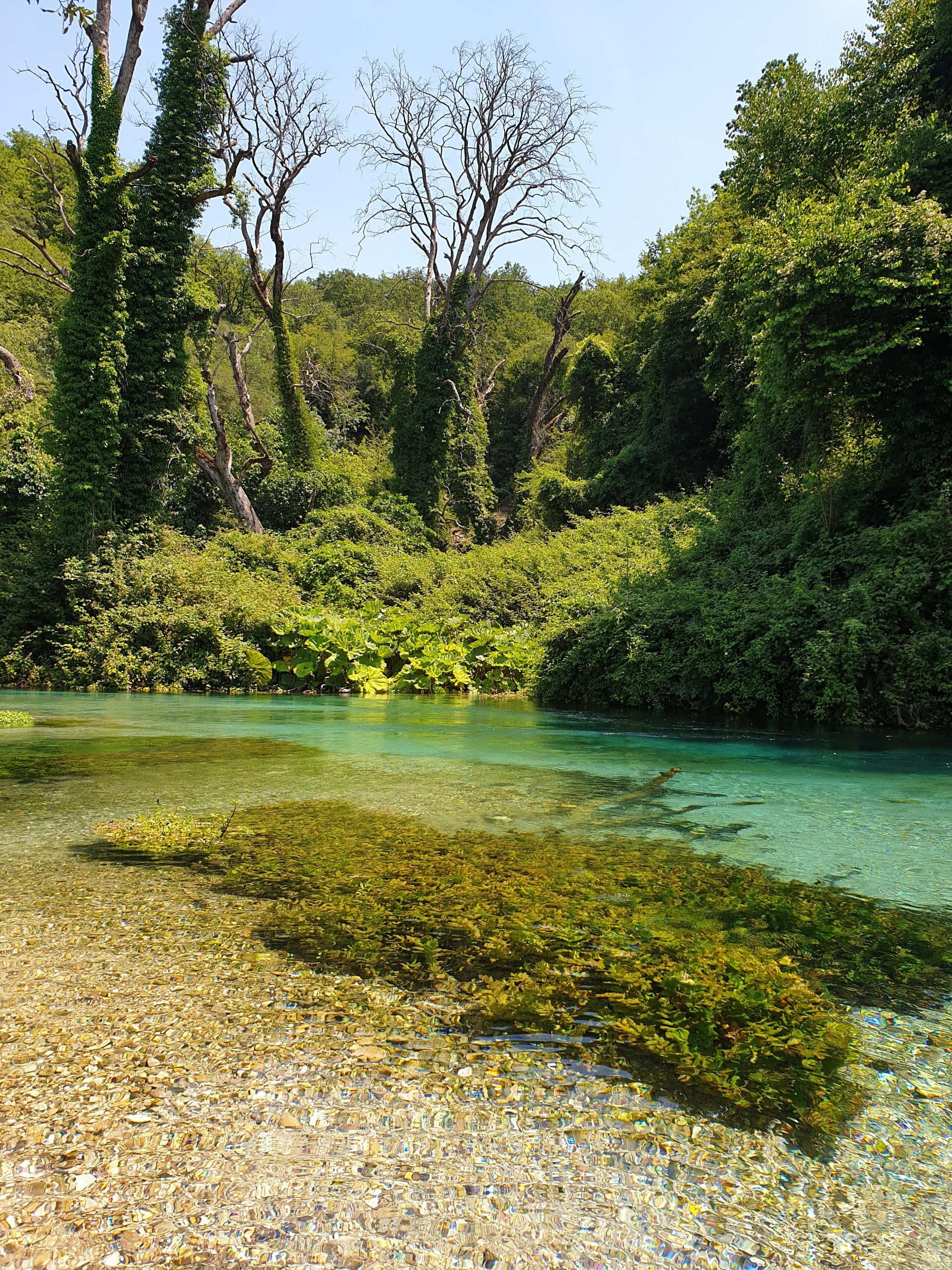 Blue eye, Albania