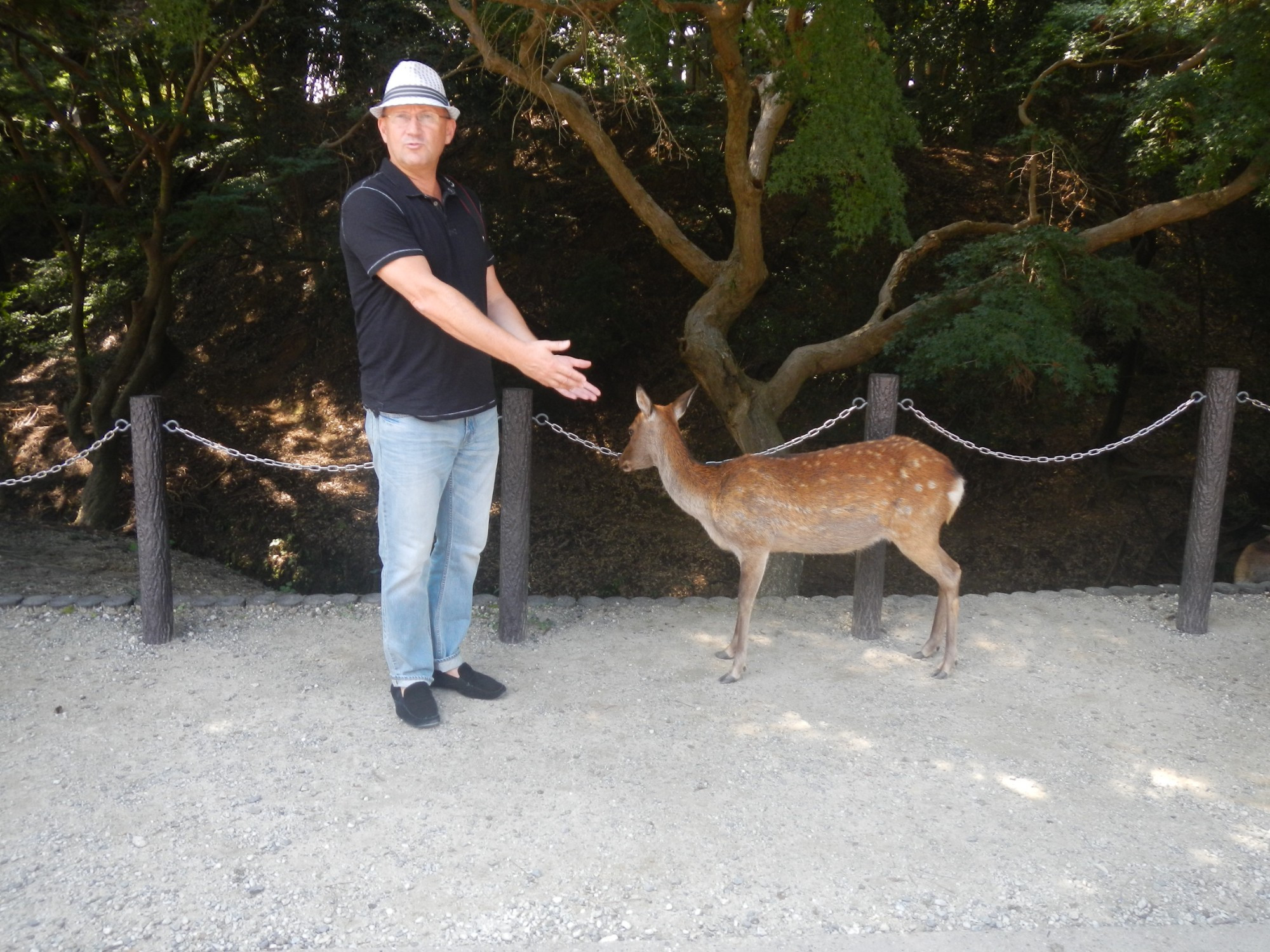 Nara park, Japan