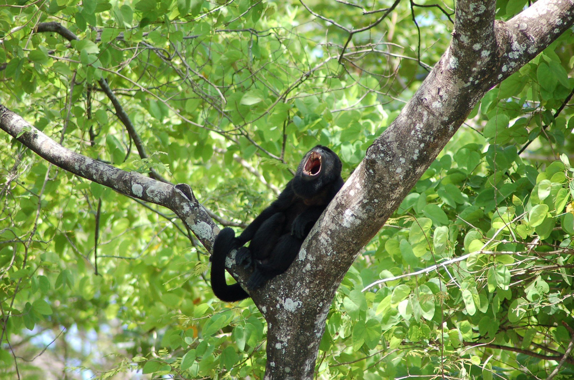 Costa Rica