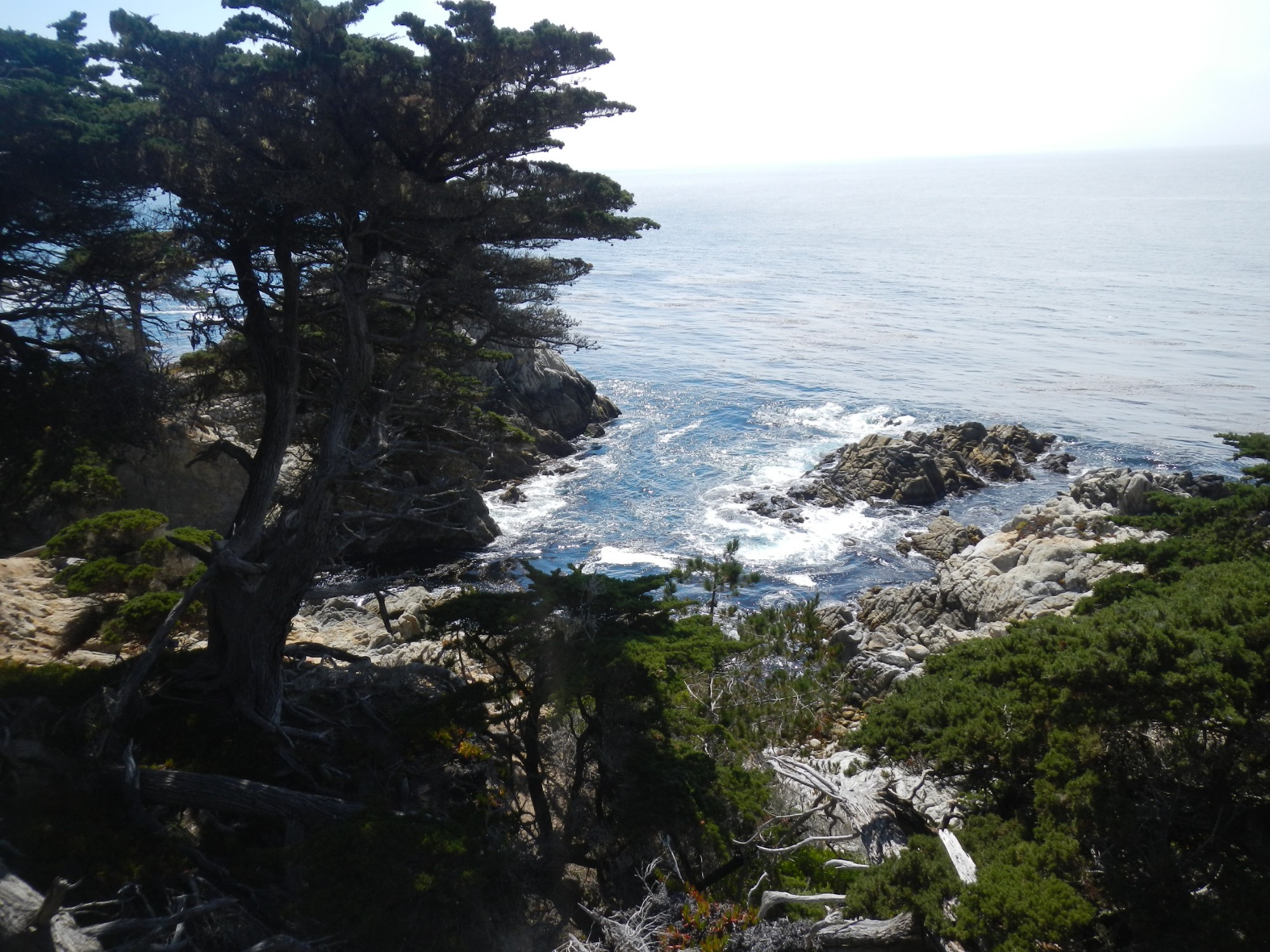 Monterey, United States