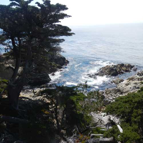 Monterey, United States