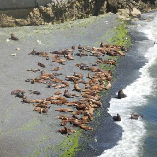 Puerto Madryn, Argentina