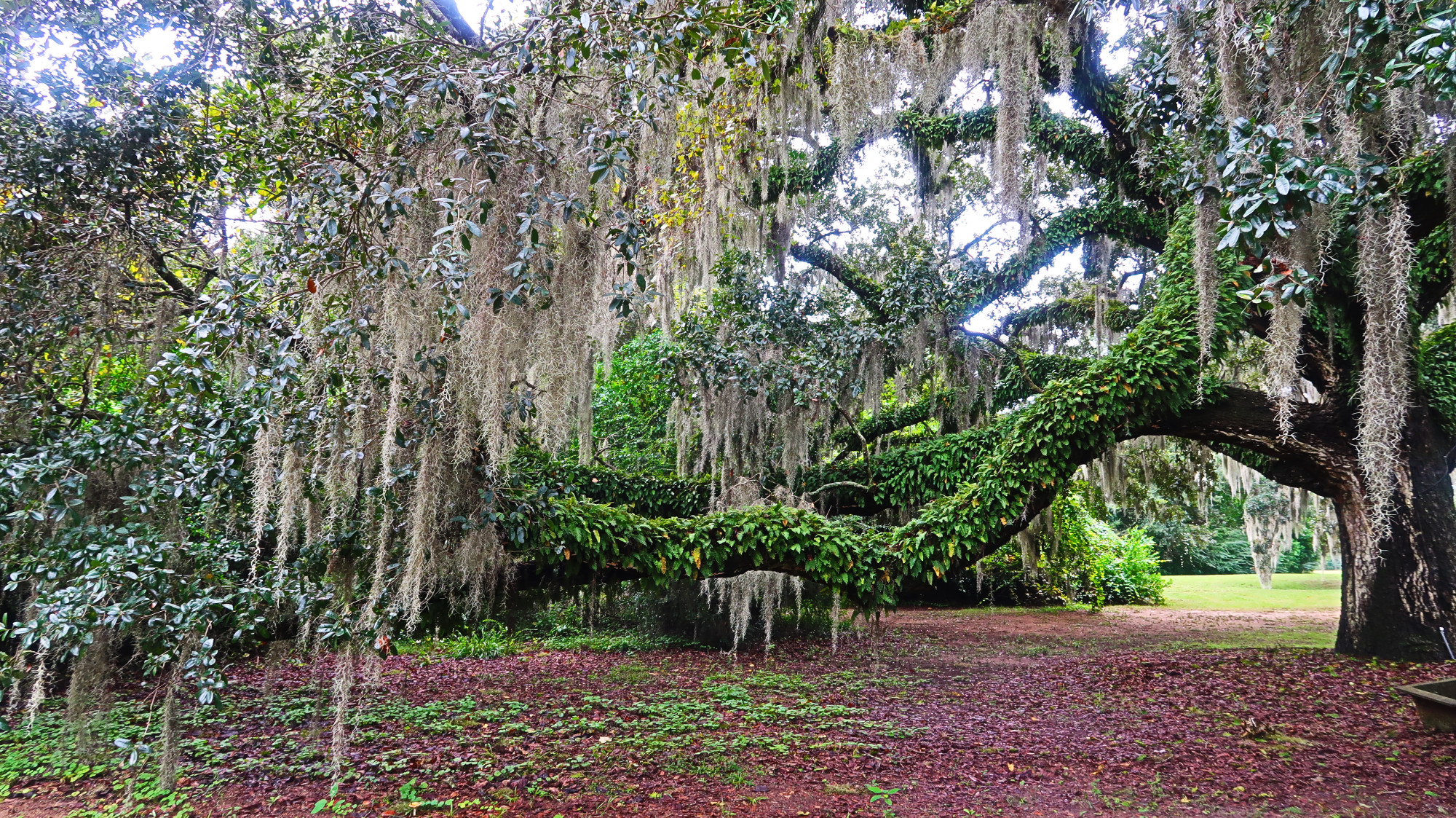 Charleston, United States