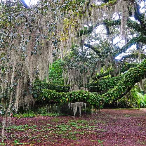 Charleston, United States