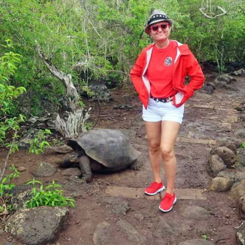 Galapagos Islands, Ecuador