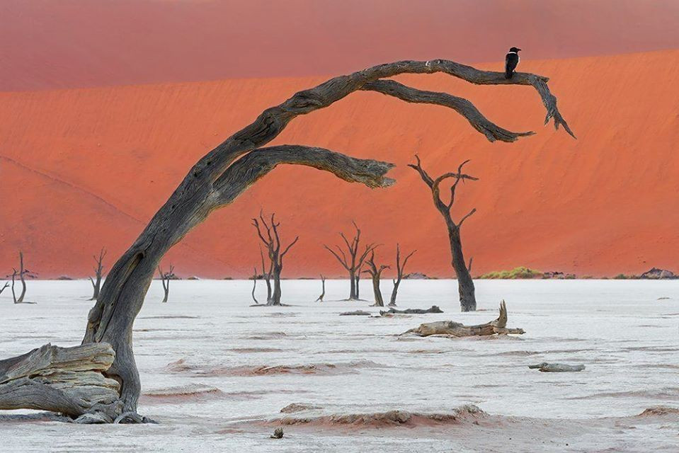 Namibia