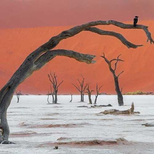 Namibia