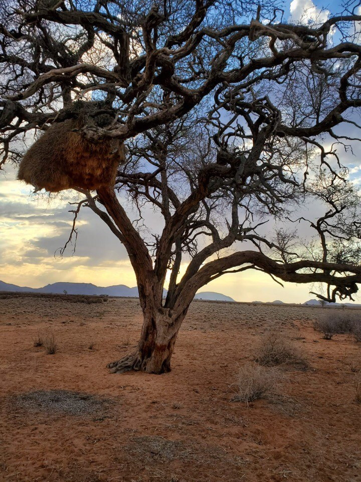 Namibia