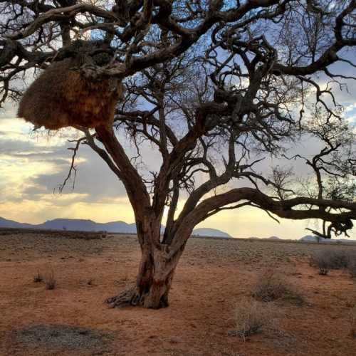 Namibia