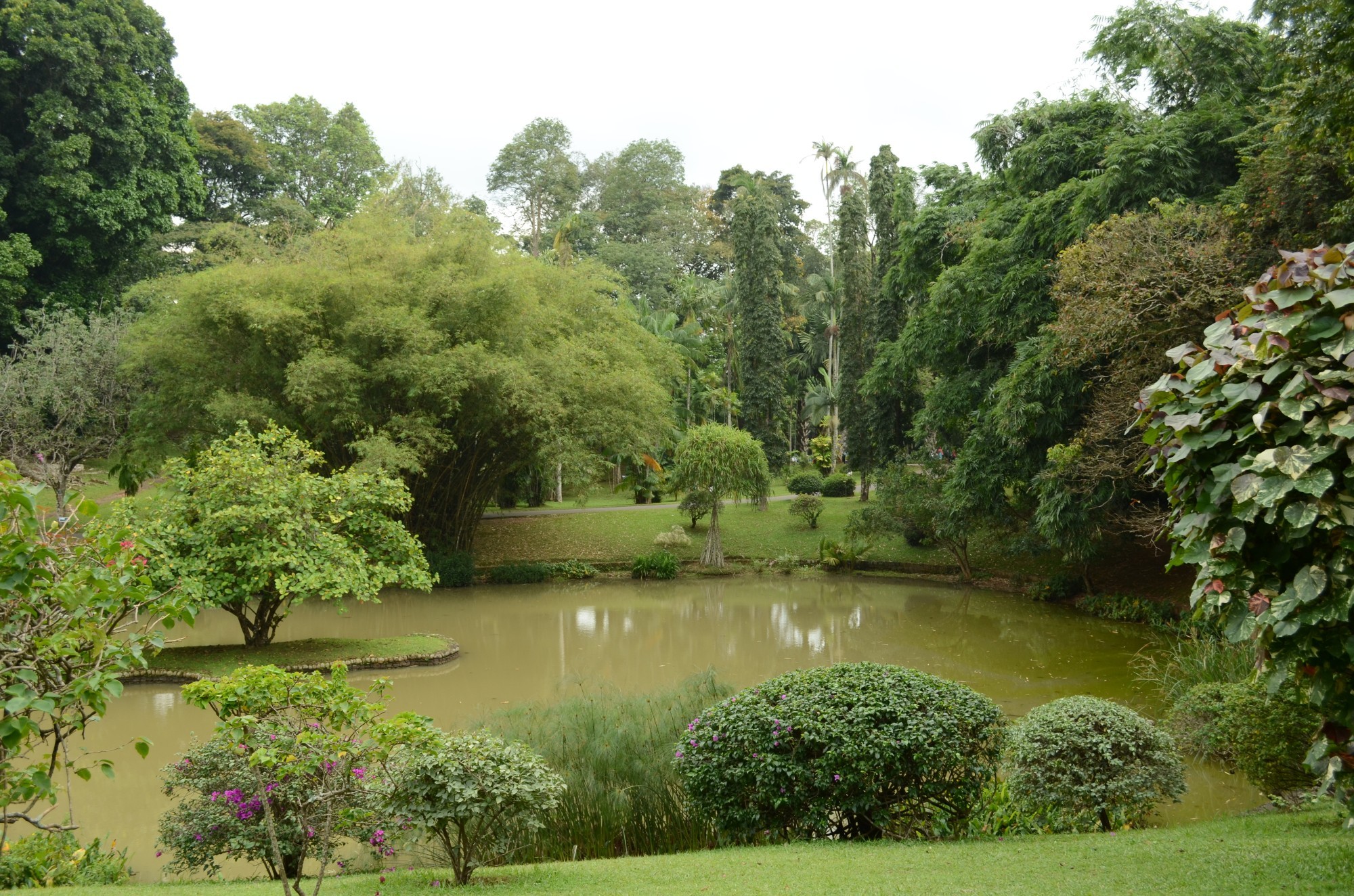 Ботанический парк Шри Ланка