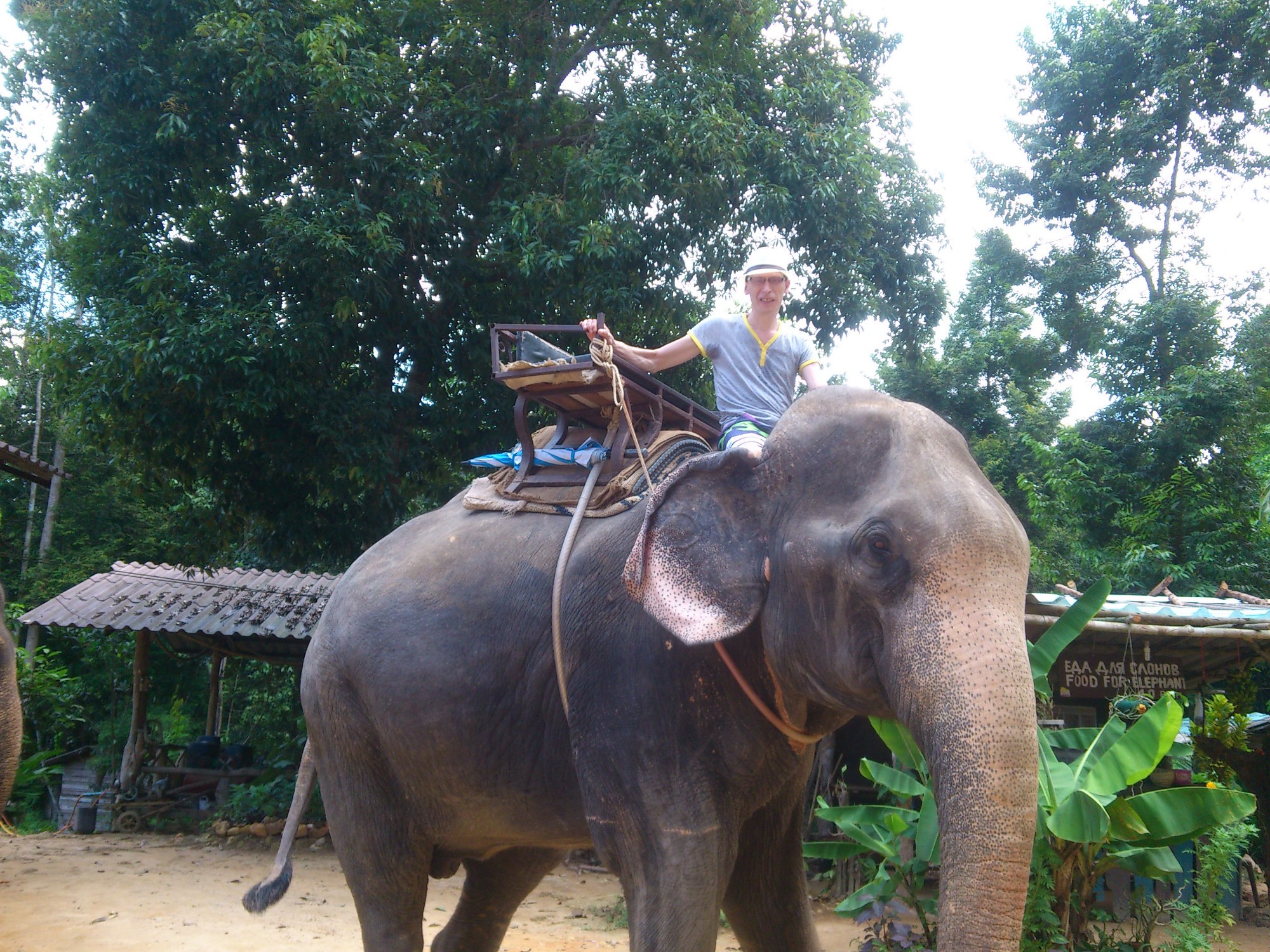 Экскурсия на слонах.