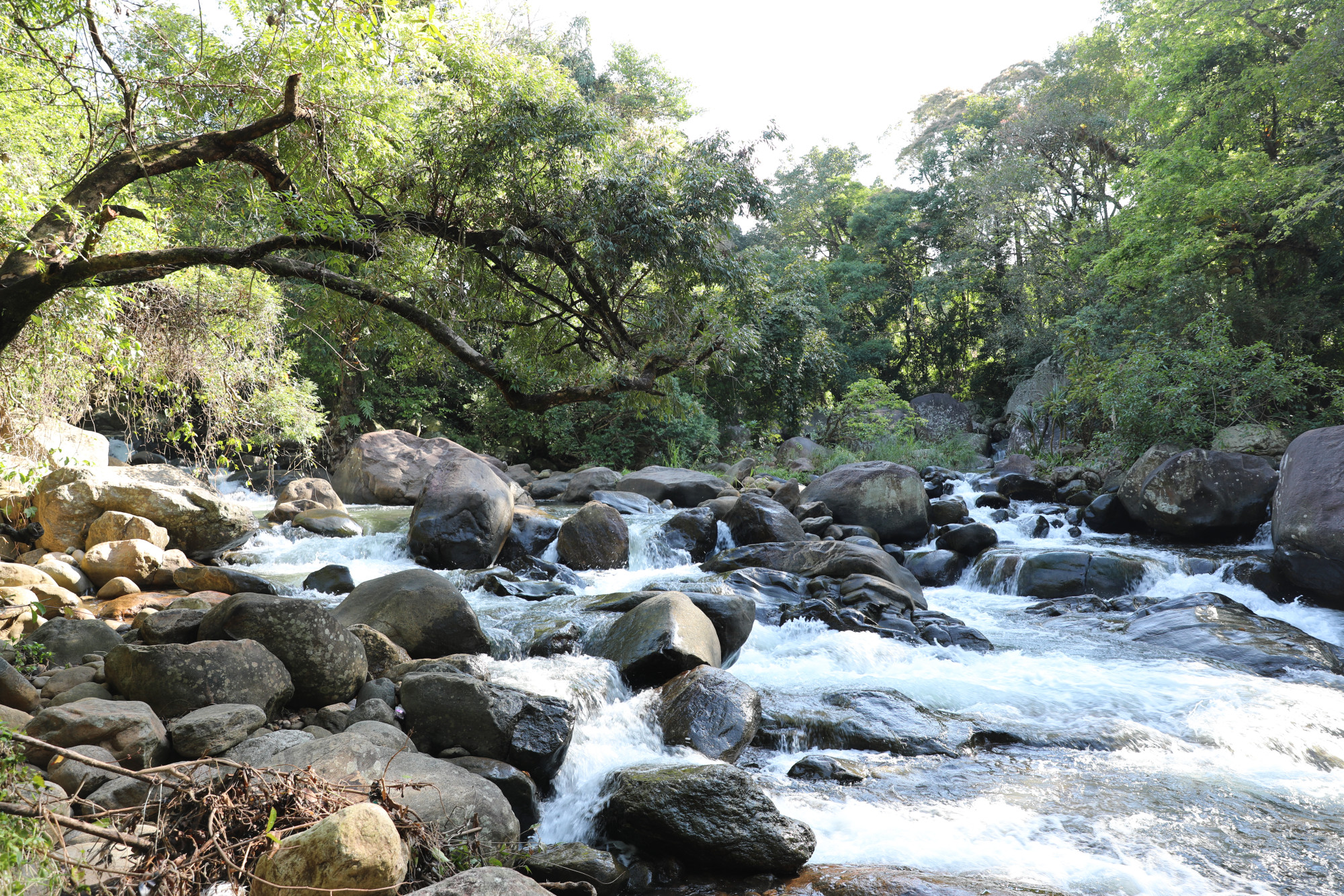 Белиулойя, Sri Lanka