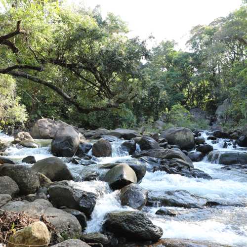 Белиулойя, Sri Lanka