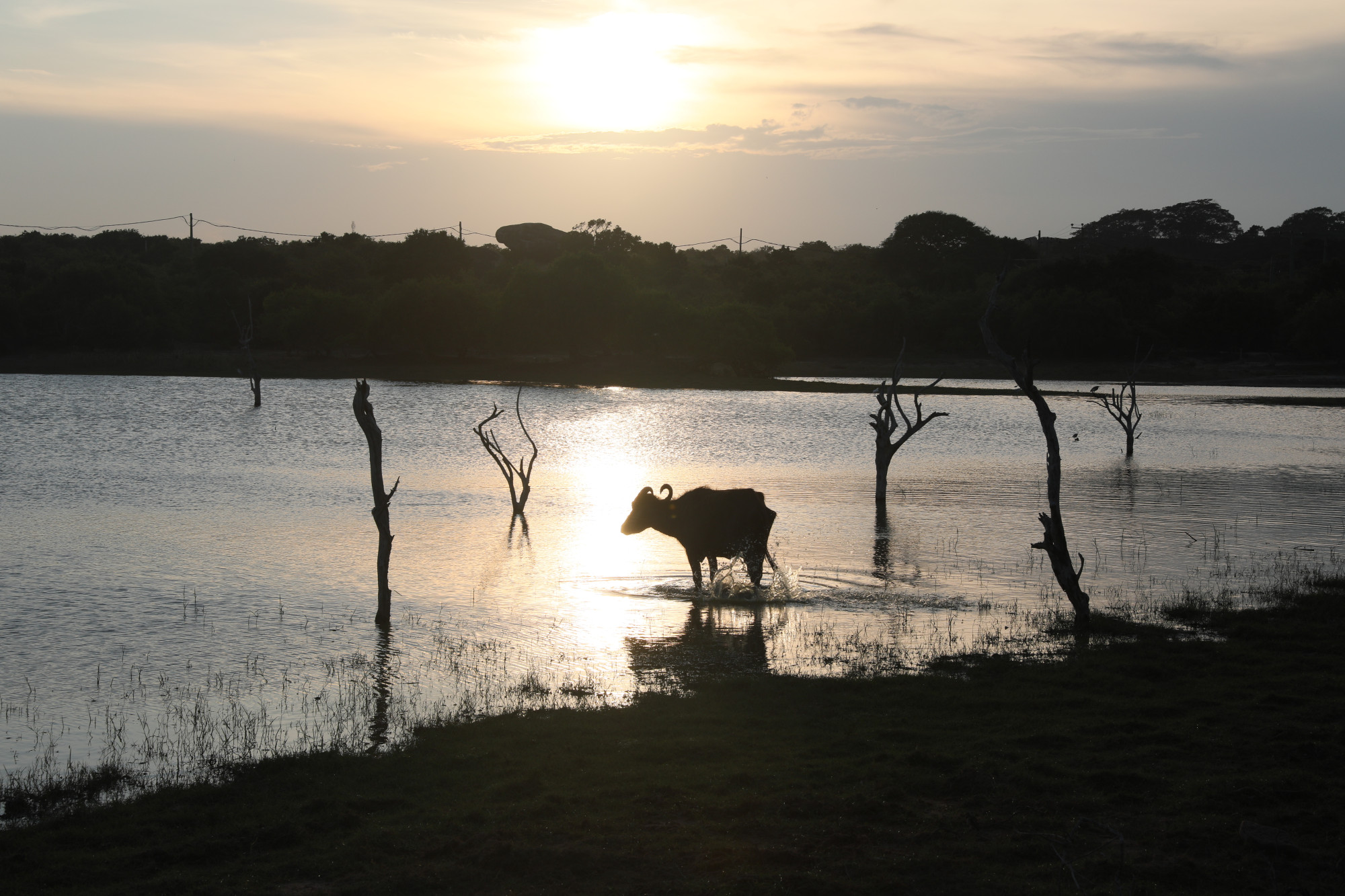 Yala National Park, Sri Lanka