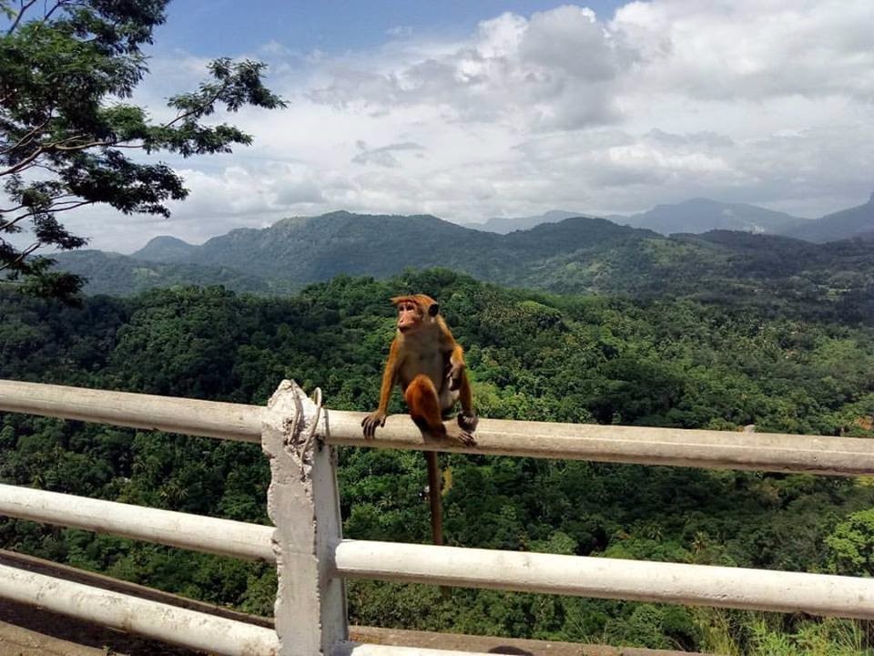 Kandy, Sri Lanka