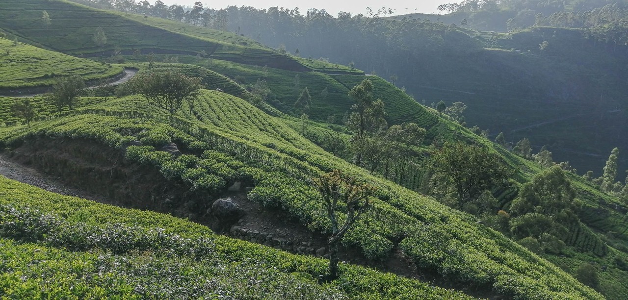 Sri Lanka