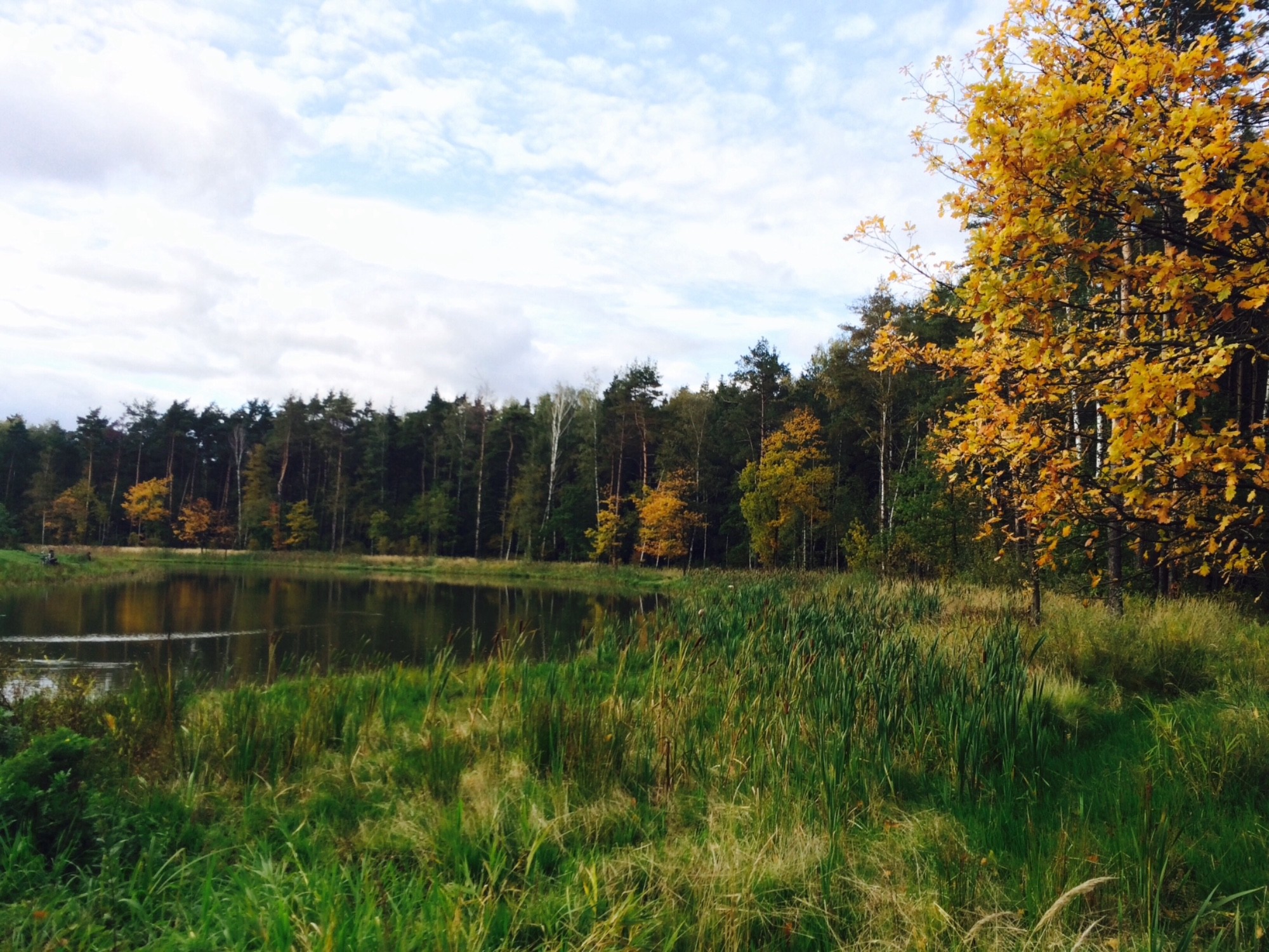 Belarus