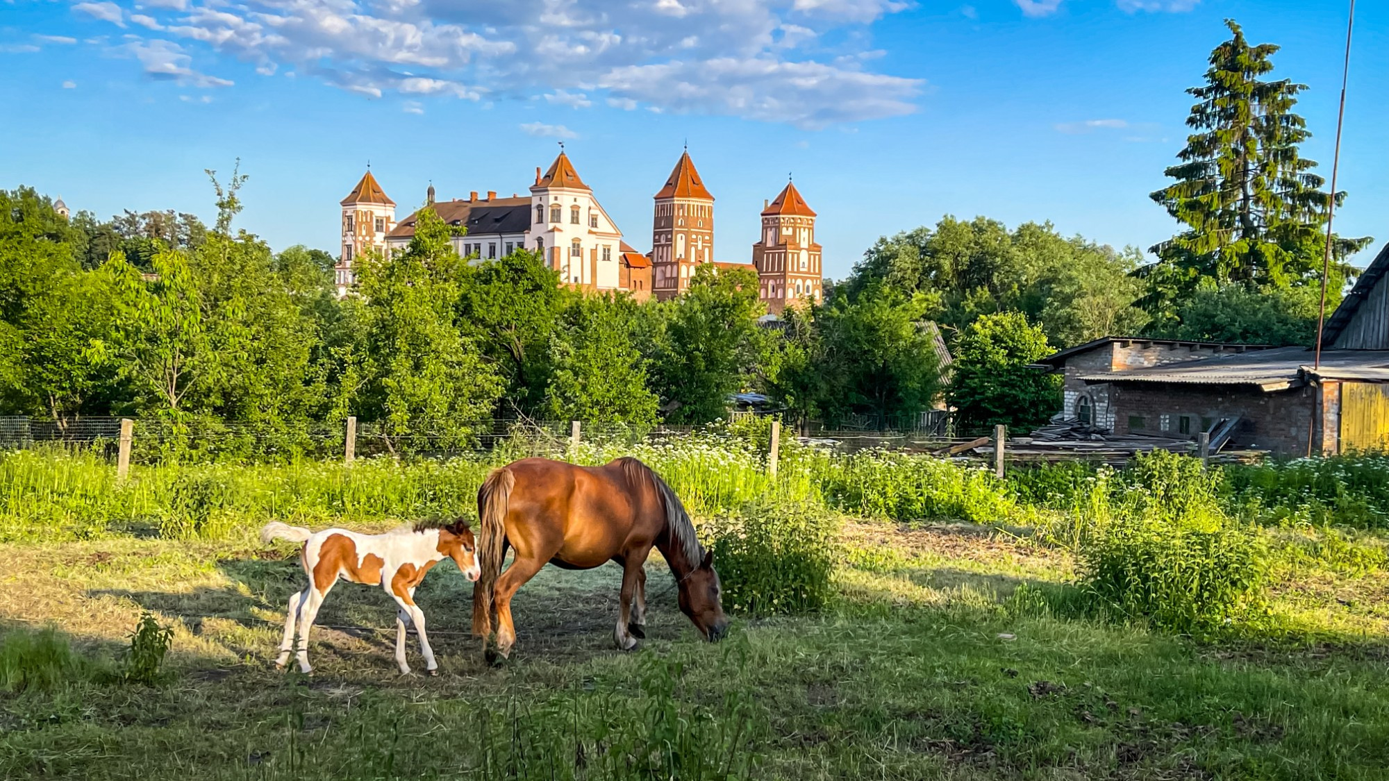 Беларусь