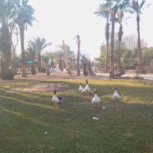 Dead Sea, Israel