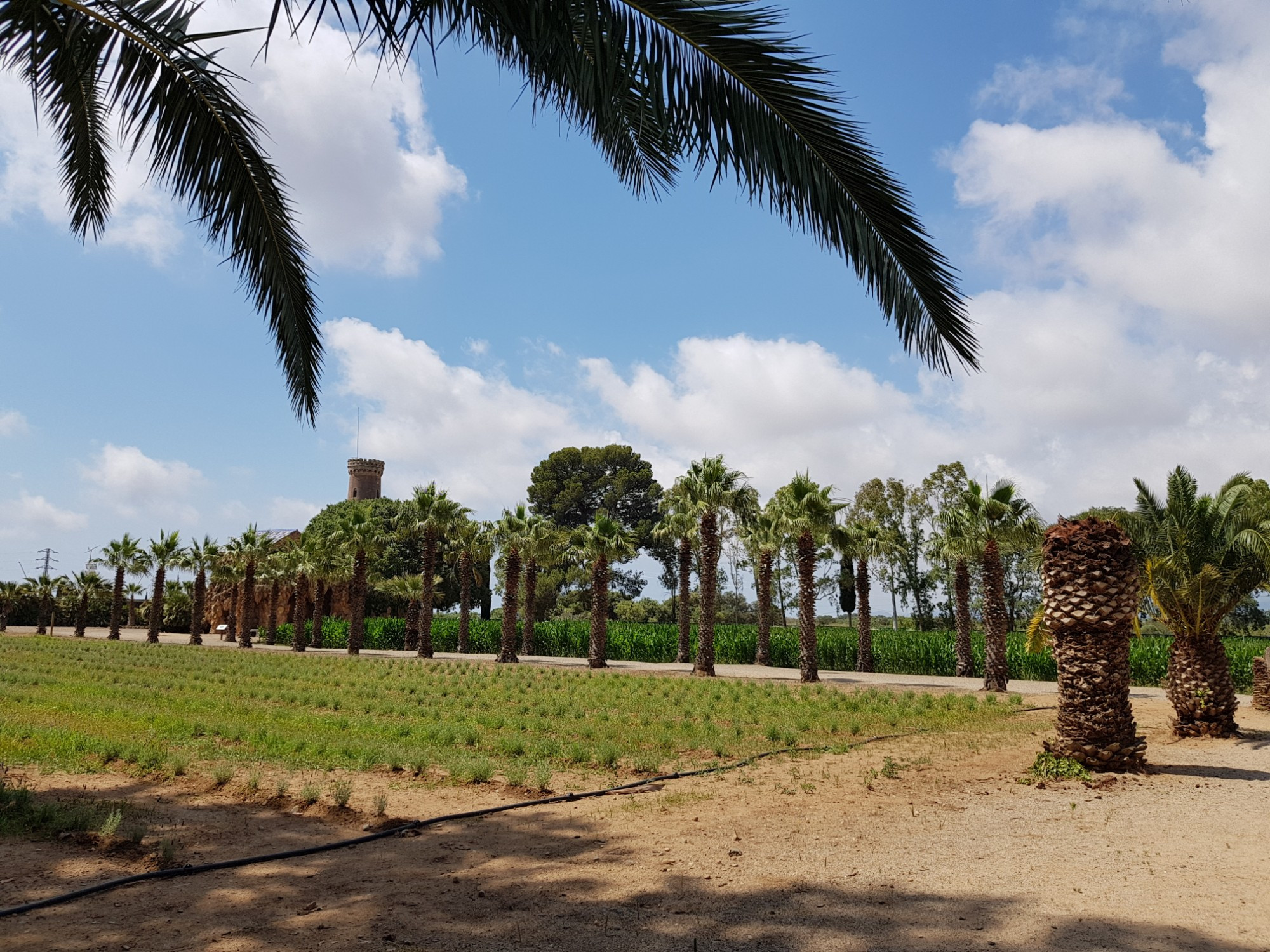 Parc Samà, Spain