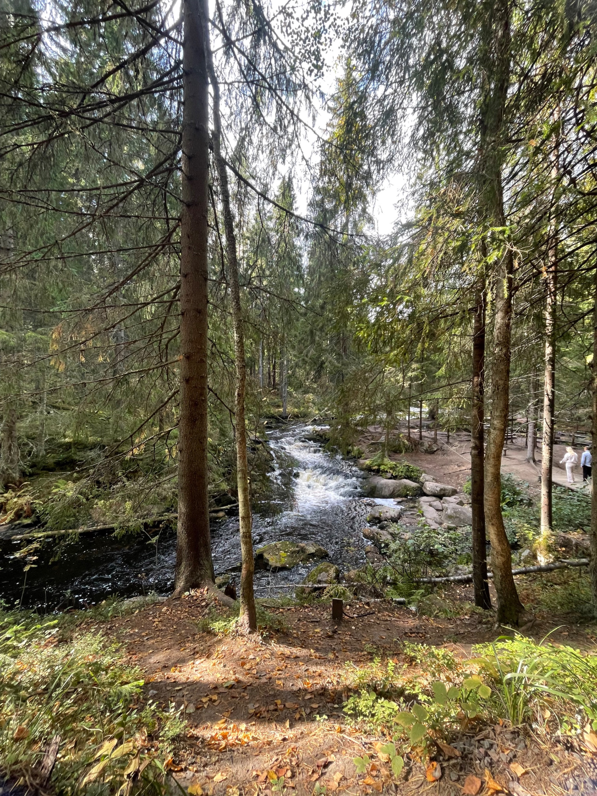 Лахденпохья, Россия