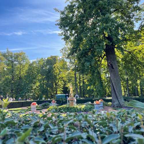 Peterhof, Russia