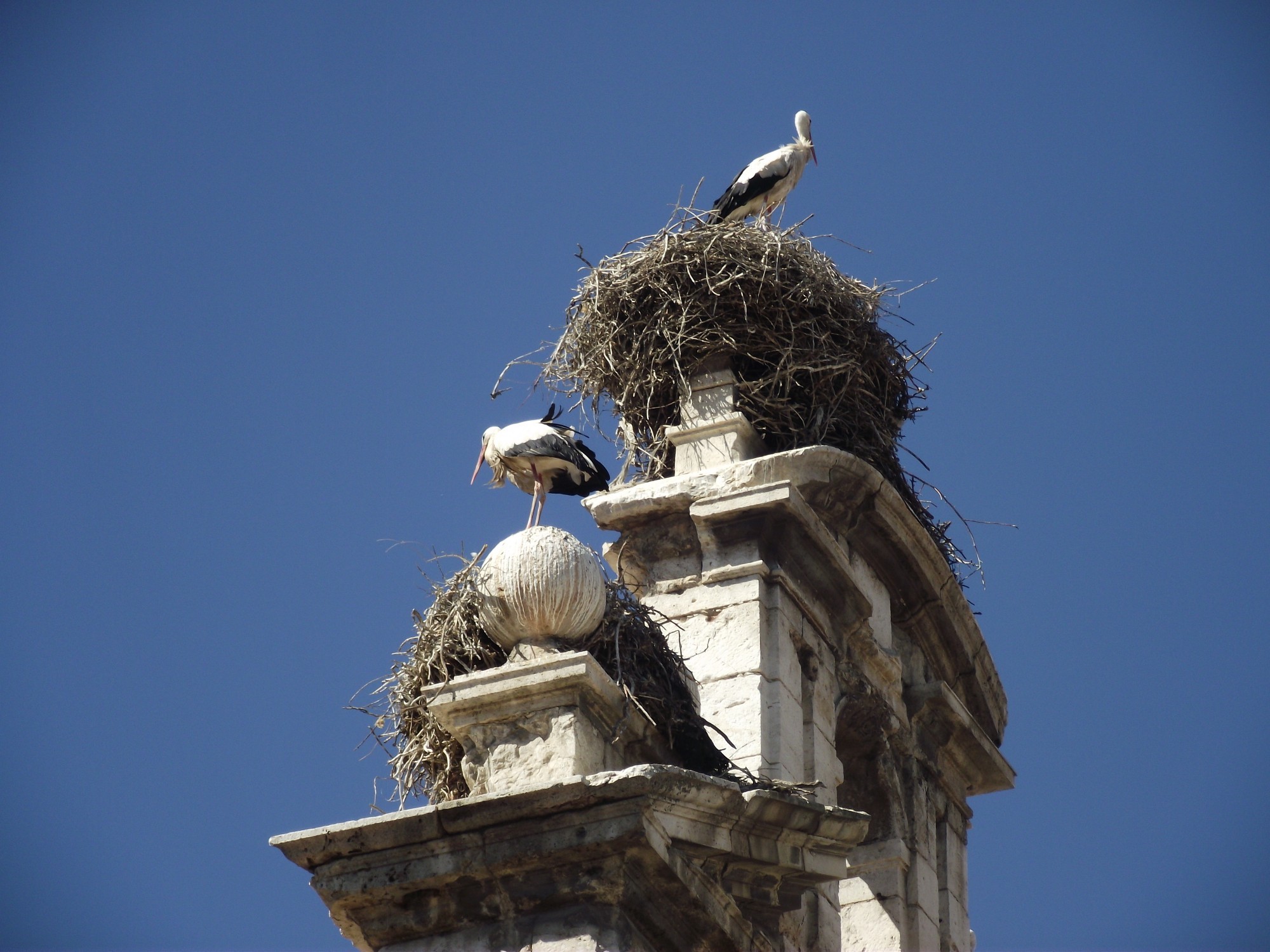 Alcala de Henares, Spain