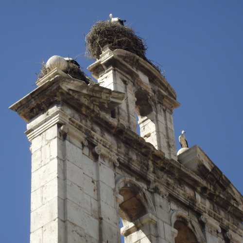 Алькала-де-Энарес. Гнёзда аистов на церкви Сан-Ильдефонсо. (31.07.2018)