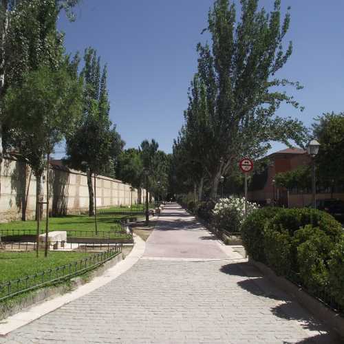 Алькала-де-Энарес. Около сохранившихся фрагментов городской стены. (31.07.2018)