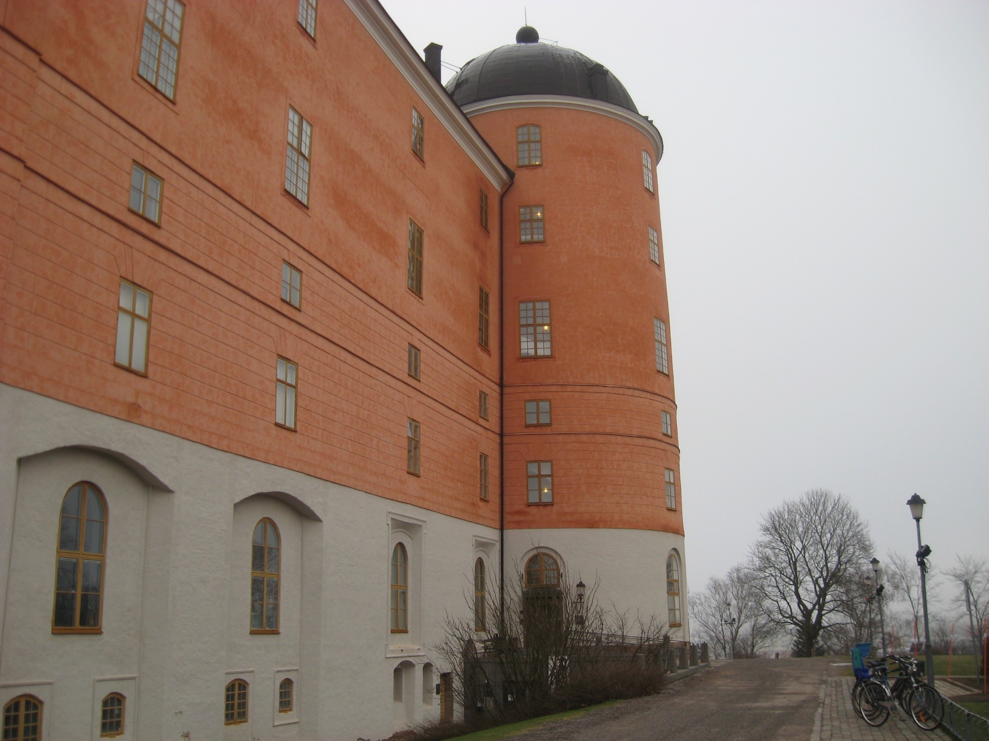 Замок Уппсалы. (04.01.2012)