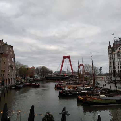 Роттердам. Вид на Старую гавань. (16.03.2019)