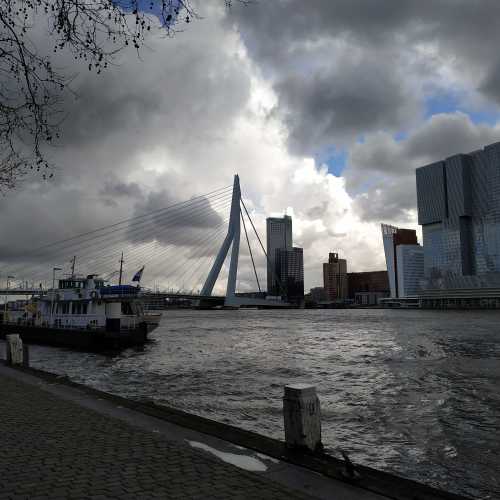 Роттердам. Набережная Виллемскаде. Вид на мост Эразма. (17.03.2019)