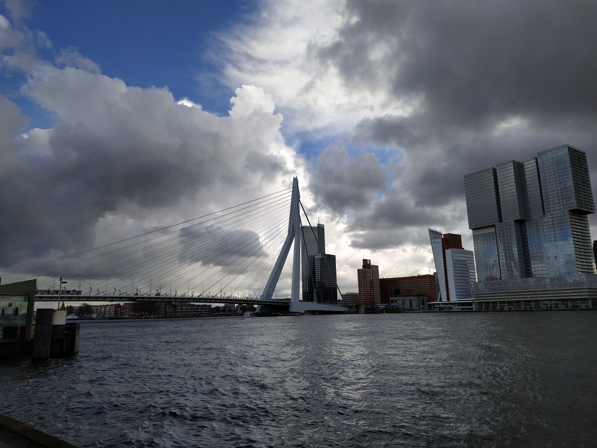 Роттердам. Вид на мост Эразма. (17.03.2019)