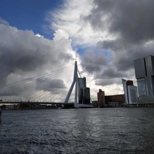 Роттердам. Вид на мост Эразма. (17.03.2019)