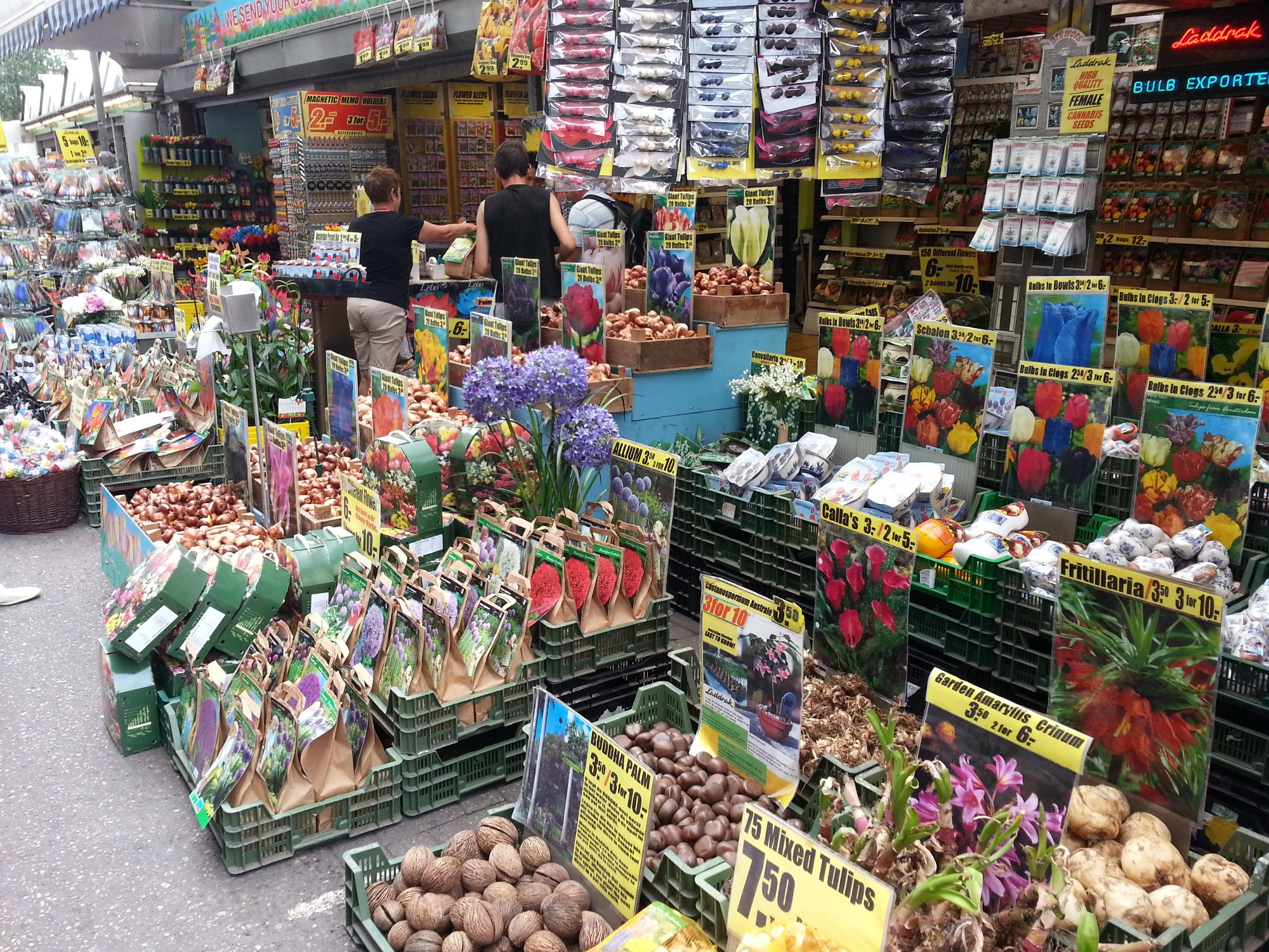 Амстердам. Цветочный рынок. (17.07.2013)