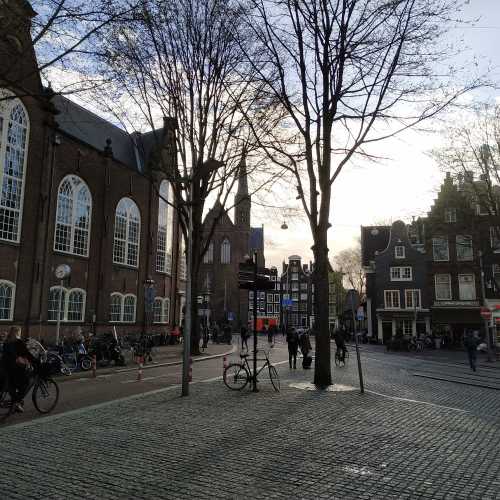 Амстердам. Площадь Спёй. (18.03.2019)